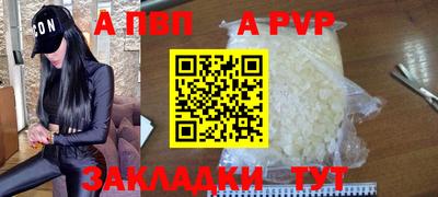 индика Дубна