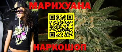индика Дубна