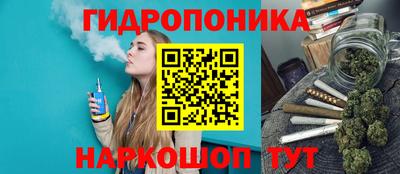 индика Дубна