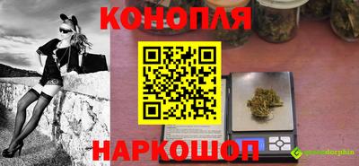 индика Дубна