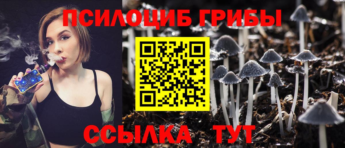 Галлюциногенные грибы GOLDEN TEACHER  Вход с VPN  Нововоронеж 